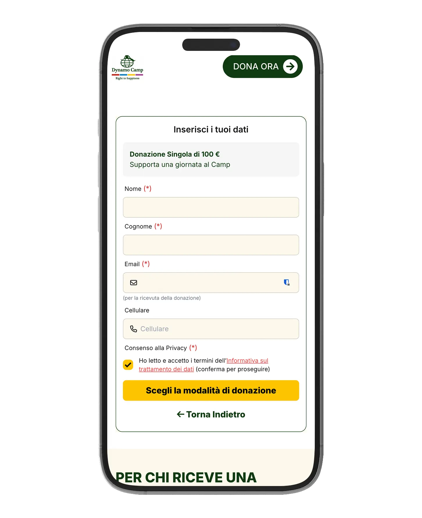 Mockup mobile landing Dynamo Camp — vista 2